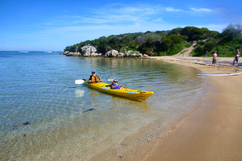 Perth : Excursion en kayak de mer dans le parc marin des îles Shoalwater