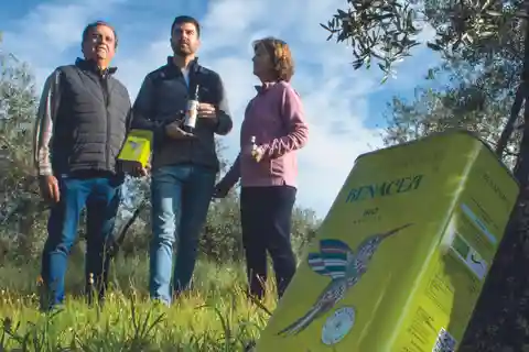 Cata de Aove ecológico y visita guiada a un olivar ecológico familiar
