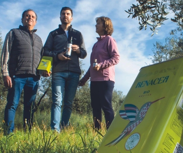Organic EVOO tasting and guided visit to a family-run organic olive grove