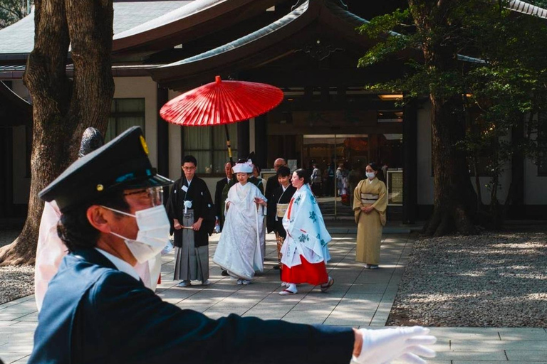 Tokyo: Private City Day Tour with English speaking Driver