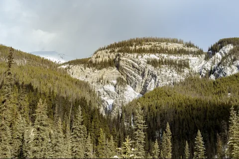 Jasper: Jasper National Park Guided Tour