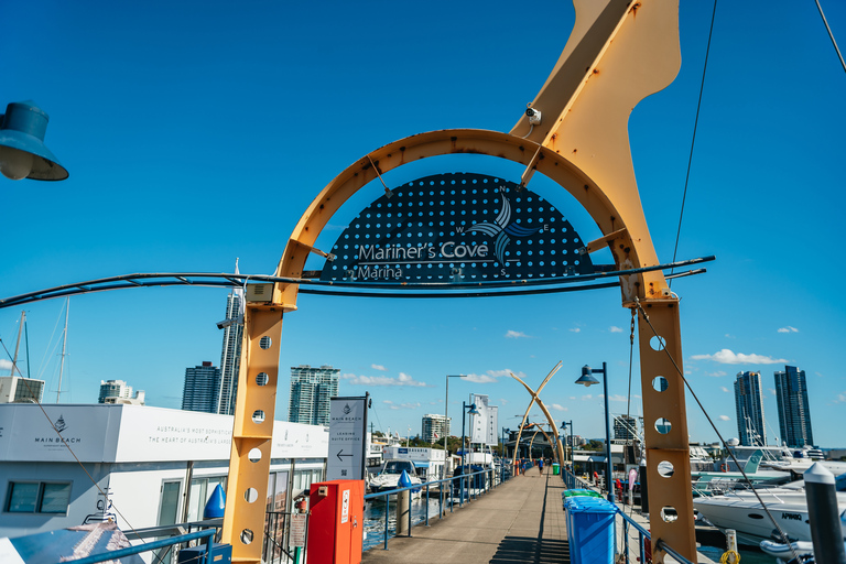 Spirit of Gold Coast 2.5-Hour Whale Watching Tour