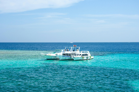 Sharm: Wycieczka morska na Białą Wyspę ze snorkelingiem, nurkowaniem i lunchemWspólna wycieczka z nurkowaniem, snorkelingiem i lunchem