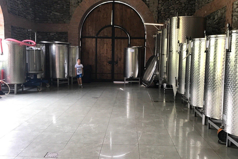 Adjara: Vineyard Tour with Wine Tasting and Lunch
