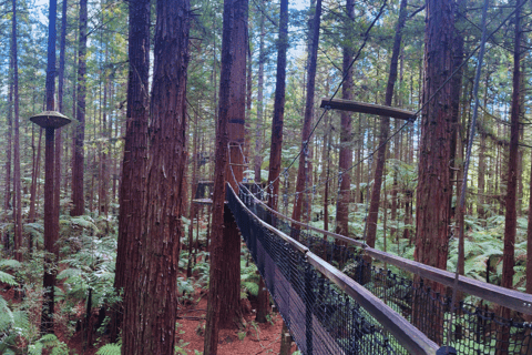 Private Day Tour - Hobbiton Movie Set, Rotorua & Treewalks