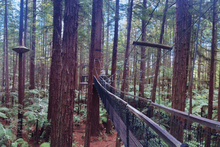 Private Day Tour - Hobbiton Movie Set, Rotorua & Treewalks