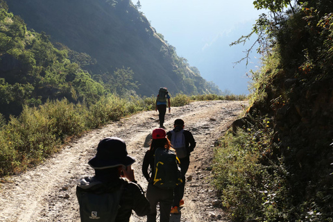 Journey Through Langtang: A 6-Day Trek with Meals