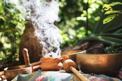 Retraite Wachuma+Ayahuasca, 2 jours - formule intermédiaire
