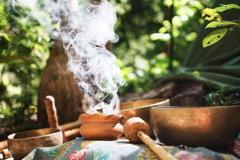 Retraite Wachuma+Ayahuasca, 2 jours - formule intermédiaire