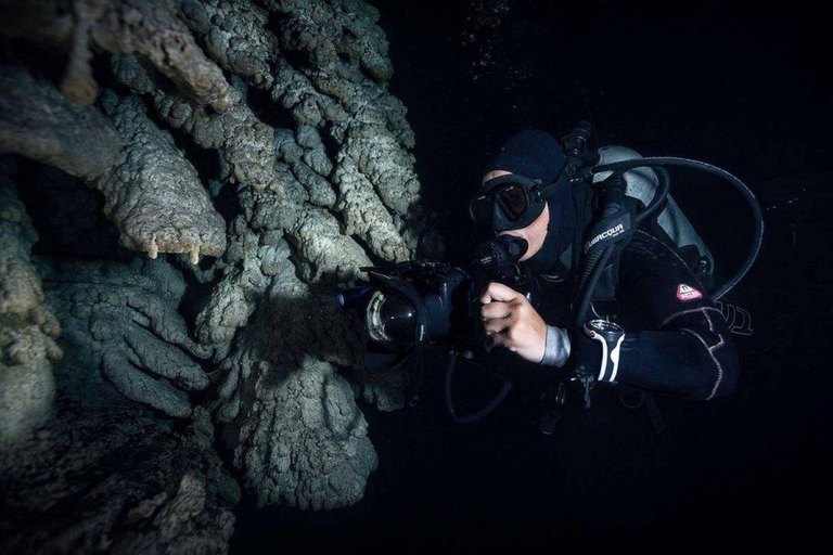 Von Cancun aus: Kin Ha &amp; Hell&#039;s Bells Cenote TaucherlebnisTaucherfahrung