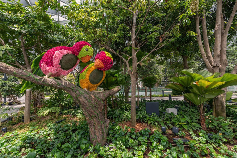 Jewel Changi Airport: Sky Nets Admission TicketBouncing Net and Canopy Park Entrance
