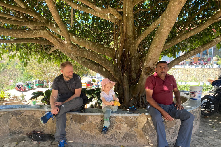 乘坐嘟嘟车探索康提街头美食：锡兰风味乘坐嘟嘟车探索康提街头美食：品味锡兰风味