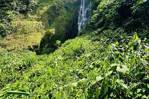 Tour de 1 día a Bajos del Toro, Alajuela, Costa Rica