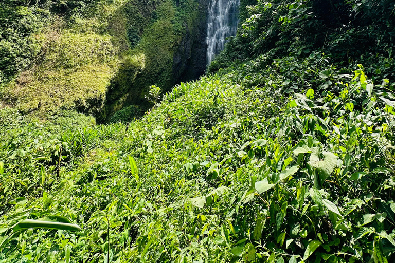 Tour de 1 día a Bajos del Toro, Alajuela, Costa Rica