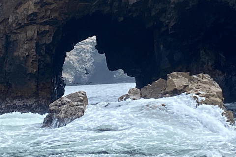 Paracas: Ballestas Islands Morning Boat Tour