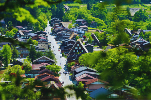 Nagoya: Shirakawa-go & Hida Takayama Old Streets Day Tour