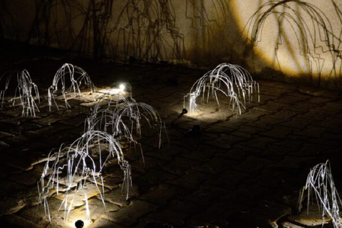 Djerba: Digital Arts Night and Immersive Projections - See Djerba - Djerba: Digital Art Night and Immersive Projections - See Djerba -