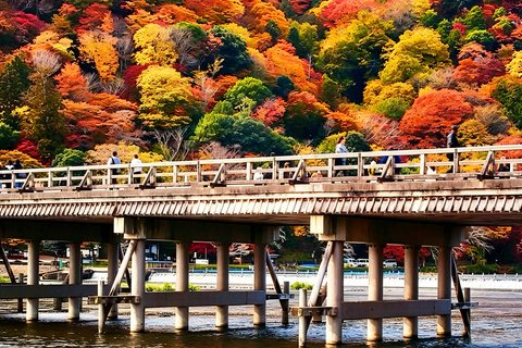 Kyoto: Arashiyama, Sanzen-in & Kifune Shrine Day Trip Departure from Osaka (Basic Package)