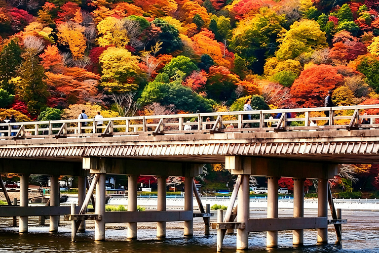 Kyoto: Arashiyama, Sanzen-in & Kifune Shrine Day Trip Departure from Osaka (Basic Package)