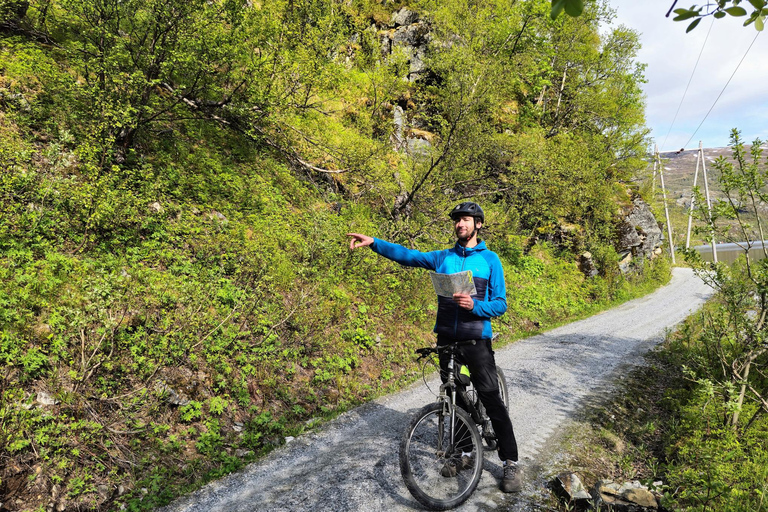 Guided, electric bicycle tour from Vatnahalsen (near Flam) Guided e-bike tour from Vatnahalsen (Myrdal) - Rallarvegen