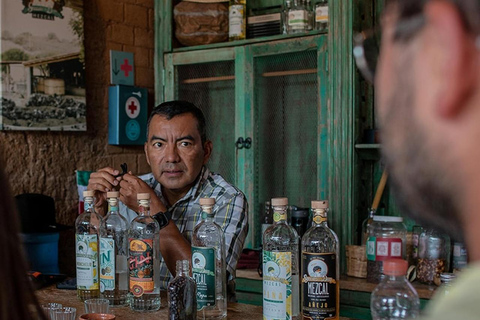 Oaxaca : Visite d&#039;une distillerie de mezcal avec dégustations