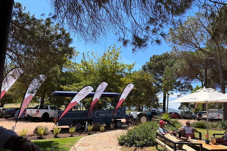 Kaapstad: Stellenbosch Hop-On Hop-Off Tractor Wijn Tour