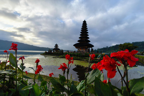 Bali: tour privato del nord di Bali con pranzo e cascataBali: tour privato del nord con pranzo e cascata