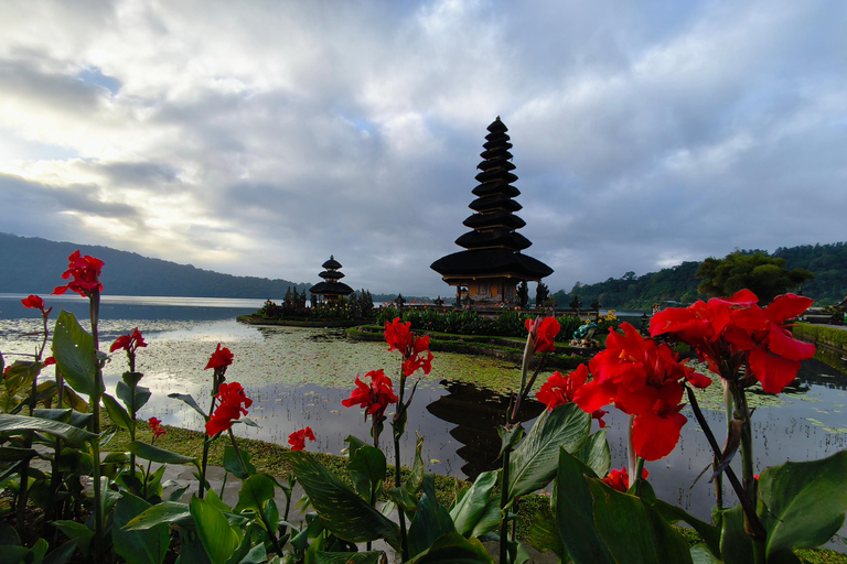 Bali: tour privato del nord di Bali con pranzo e cascataBali: tour privato del nord con pranzo e cascata