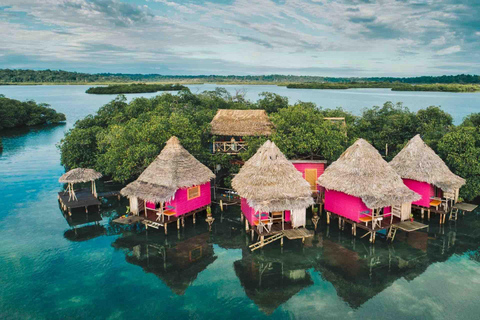 Bocas del Toro : tour en bateau de l&#039;île aux singes et de Cayo Coral