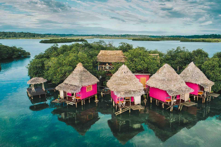 Bocas del Toro : tour en bateau de l&#039;île aux singes et de Cayo Coral