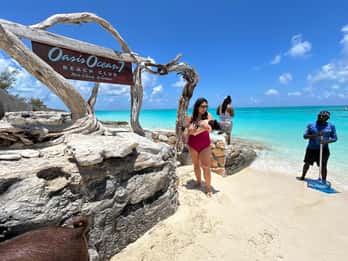Nassau: Porcos, snorkel, tartarugas, almoço, clube de praia privado