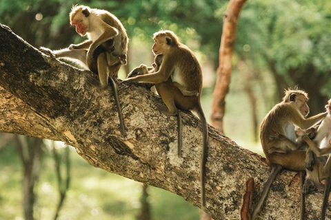 Aventure de 4 jours dans la forêt amazonienne