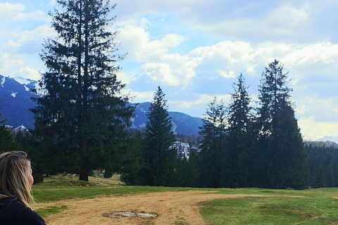 Poiana Brasov: Guided ATV Ride Through Mountain Forest