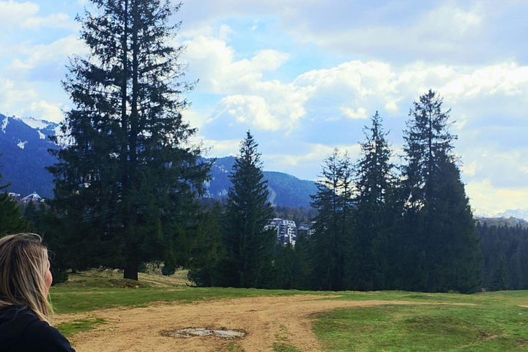 Poiana Brasov: Guided ATV Ride Through Mountain Forest