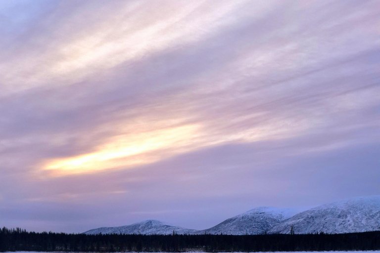 Levi: Reindeer Farm Visit and Snowshoe Adventure with Lunch