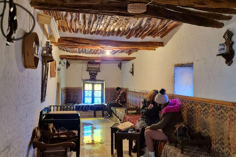 Excursión de un día a Cartago y Sidi Bou Said