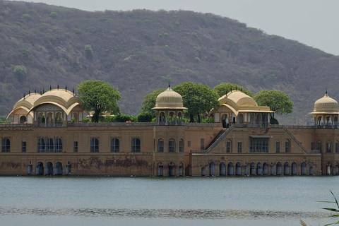 8-Day Golden Triangle Tour With Ranthambore & Jhalana Safari Tour With 3-Star Hotel Recommendation