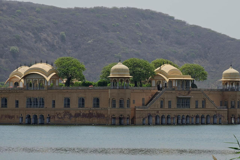8-Day Golden Triangle Tour With Ranthambore & Jhalana Safari Tour With 3-Star Hotel Recommendation