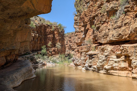 Agadir: Paradise Valley & Atlas Mountains Day Trip