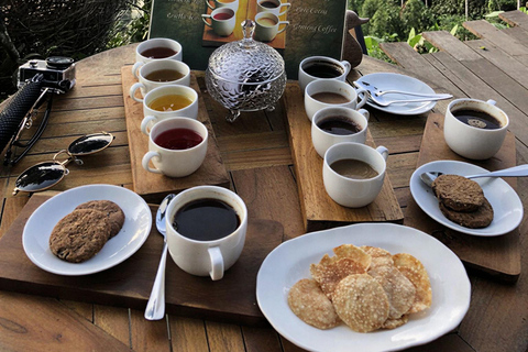 Ubud Signature Experience: Swing, Waterfall & Coffee Ticket Swing & Entrance fees Included
