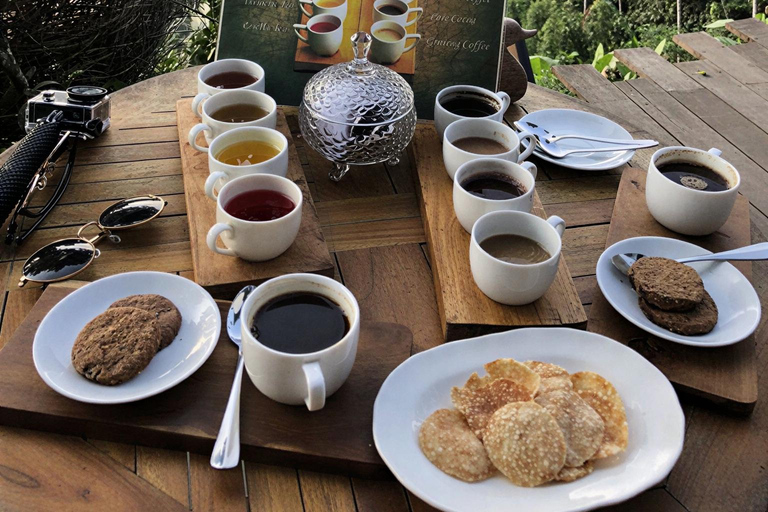 Ubud Signature Experience: Swing, Waterfall & Coffee Ticket Swing & Entrance fees Included