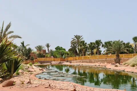 Agadir: Biglietto d'ingresso al Crocoparc con trasferimenti, guida e tè