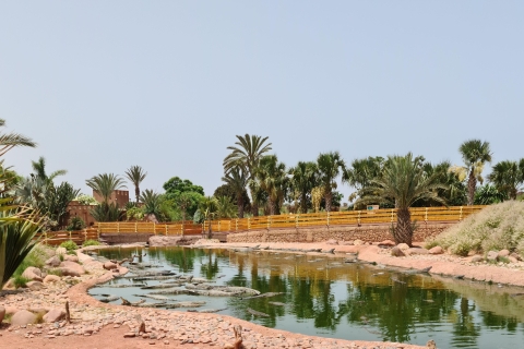 Agadir: Crocoparc Ticket ohne Anstehen Eintrittskarte