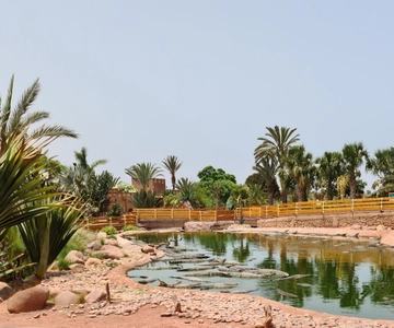 Agadir: Ingresso no Crocoparc com transferes, guia e chá