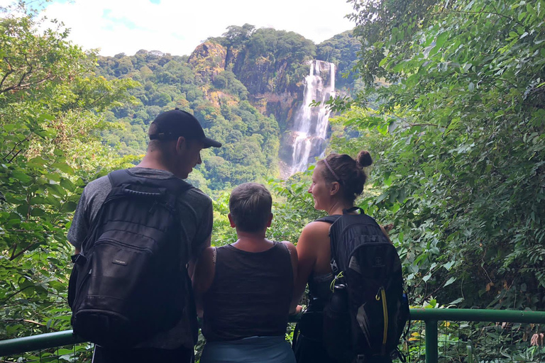 Kilimandjaro : 9 jours de trek sur la route Machame avec camping