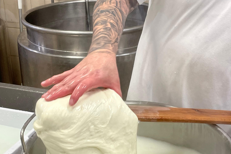 Pisa: Kaas maken en proeven met een kleine groep