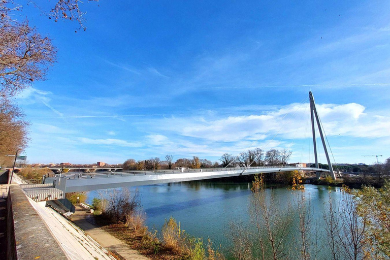 Panoramic Toulouse, e-bike ride, and cable car