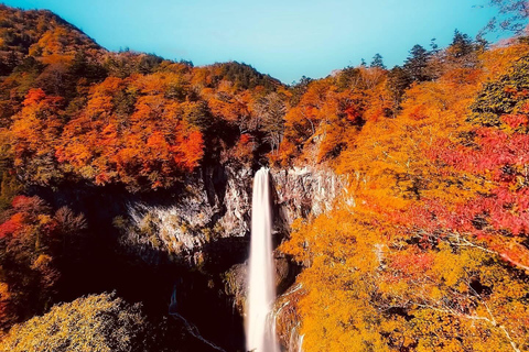 Nikko Private Day Tour with English Speaking Expert Driver