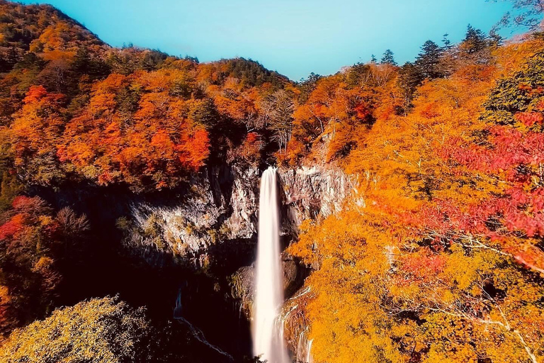 Nikko Private Day Tour with English Speaking Expert Driver