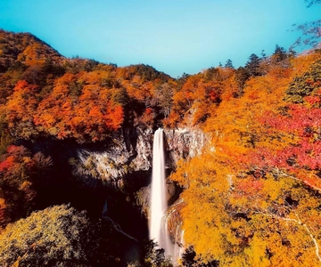 Nikko Private Day Tour with English Speaking Expert Driver